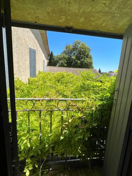 Au Mas Des Glycines - Gite La Tropezienne - 5 Personnes Camaret-sur-Aigues Eksteriør billede
